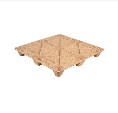 Warum begasungsfreie Formholzpaletten wählen?